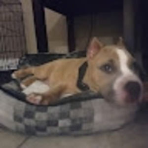 Meet your Posher, Gary